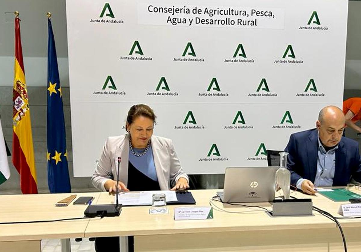 El Gobierno Andaluz Triplica Las Ayudas Al Sector Pesquero En Los Ltimos Tres A Os Ideal